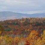 Top Deck View, Fall